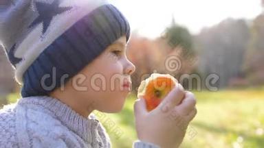 一个在秋天公园野餐的孩子。 他吃了一个多汁的红苹果。 合上脸